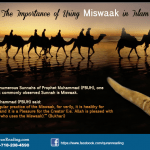 taking care of your teeth by using miswaak