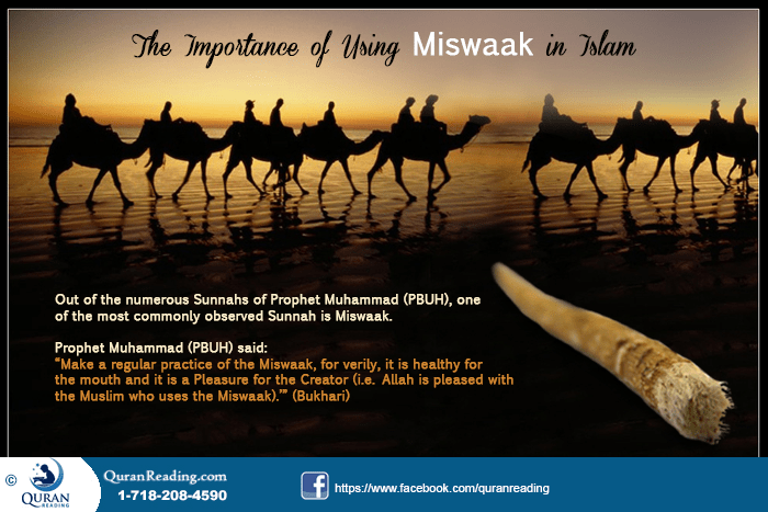 taking care of your teeth by using miswaak