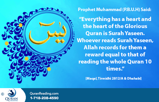 Daily Recite Surah e Yaseen