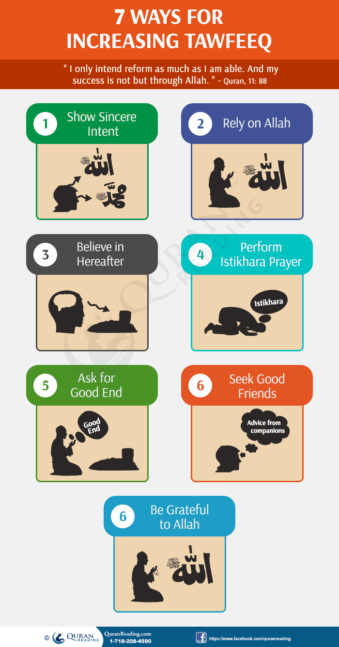 increasing tawfeeq